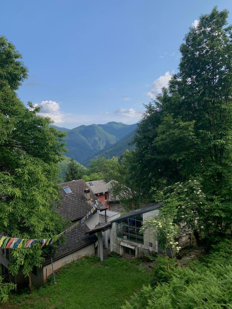 Secret Mountain Retreat Valle Cannobina Orasso エクステリア 写真